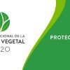 2020 Año Internacional de la Sanidad Vegetal.