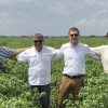Avgust llega al Perú con un novedoso portafolio para la protección de cultivos