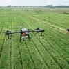 Usando drones e insectos depredadores, los investigadores de UC Davis tratan las plagas de cultivos.